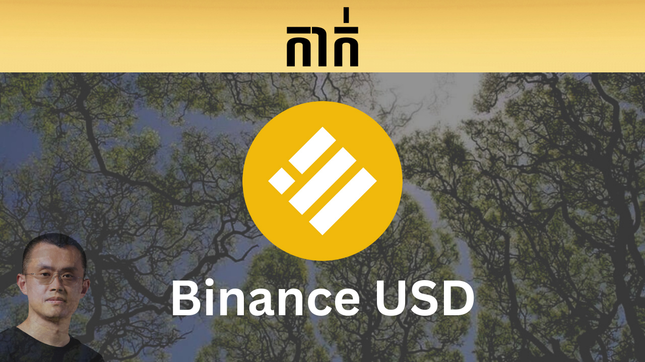 កាក់ Binance USD